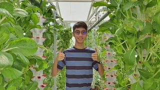 The owner of this vertical farm in the city of KL is a university student!