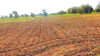 John Deere tractor