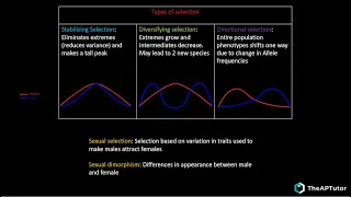 AP Biology Unit 7 Natural Selection Complete REVIEW!