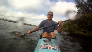 Kayaker Attacked By Alligator