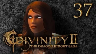 THE REAL SASSAN | Divinity 2: The Dragon Knight Saga #37