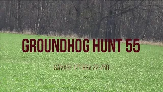 Groundhog Hunt 55 Savage 12 lrpv 22 250