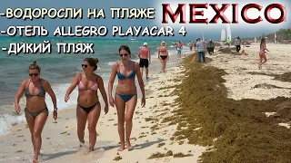 🇲🇽МЕКСИКА.🏖ОТДЫХ В ОТЕЛЕ ALLEGRO PLAYACAR 4.🏝PLAYA DEL CARMEN💥ВОДОРОСЛИ НА ПЛЯЖЕ👉Хочу в Мексику 2022