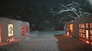 【弘前城雪燈籠まつり2020】5 | JAPAN ATTRACTIONS令和2年武漢姉妹市日本弘前公園日本雪灯笼节祭2020