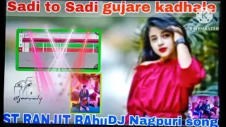 Sadi Tor Sadi gujare 💝 new Nagpuri song ⏮️⏺️⏩DJ Ranjit Babu 🌹 Subhankar Dada🥰🌹