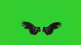 Devil wings green screen video || black wings green screen || no copyright