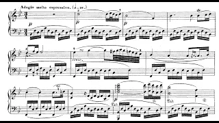 Beethoven-Winkler - Violin Sonata 5, Op. 24, II. Adagio molto espressivo  - Cyprien Katsaris Piano