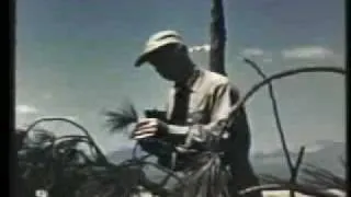 Declassified U.S. Nuclear Test Film #11