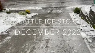 Seattle Ice Storm 2022