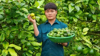 Harvest lemon, Go to the market to sell, Make a house for pigs, My daily life