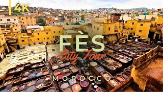 FES