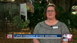 No training required: Pet owners report grooming visits gone bad