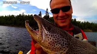 Monster brown trout(80+cm) from mountain lake. Monster fjelleørret !