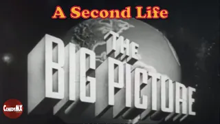 The Big Picture | A Second Life