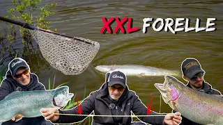 Fisch zu groß für den Kescher 😱 Angeln am Forellensee mit Spezial-Köder?! XXL Forelle filetieren👨🏻‍🍳