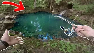 HIDDEN Tiny Pond!!!