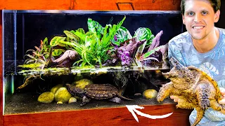 Rare Hybrid Snapping Turtle Planted Paludarium (Only 50 in the World)