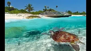 Wild Islands Zanzibar National Geographic documentary