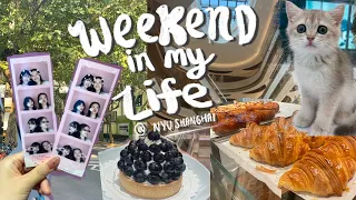 Weekend In My Life @ NYU Shanghai