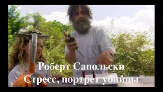 Роберт Сапольски. Стресс, портрет убийцы. Перевод - STAHANOV2000