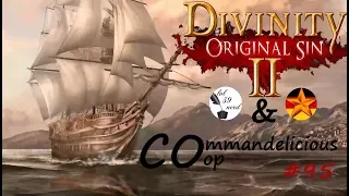 Divinity: Original Sin 2 #95 - Clearing a Path