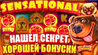 ОТКРЫЛ СЕКРЕТ ХОРОШЕЙ БОНУСКИ В The Dog House Megaways!