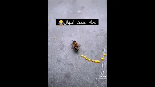 ههههههه😂😂😂😂