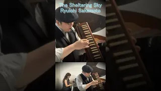 鍵盤ハーモニカとピアノで「The Sheltering Sky/坂本龍一」#shorts