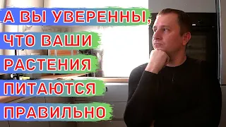 Баланс элементов питания у растений.