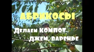 Как делаю компот из АБРИКОС на зиму. Делаем Джем