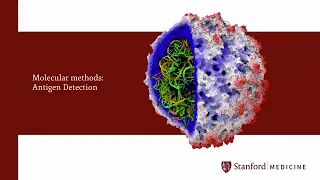 23 The Role of Microbiology Laboratory in Antibiotic Stewardship Programs