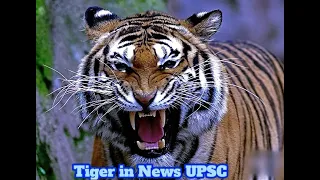 Know All About Tigers in India #upsc #education  #nature and animal lovers #Indian Biodiversity