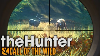 Rare Cinnamon Black Bear Hunting! - TheHunter: Call of the Wild Gameplay