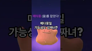 처음 잡았다 이렇게 조은거