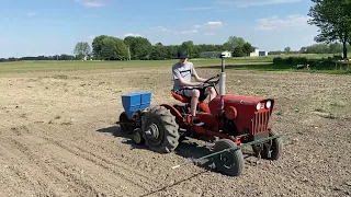 Planting Sweetcorn with vintage Burch twin row planter and Power King tractor