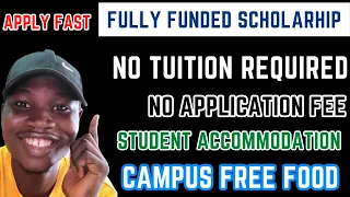 Fully Funded Scholarship | No Application Fee | No Tuition | Study In Europe For Free | Camerino