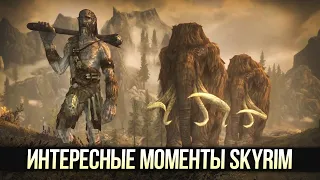 Skyrim Секреты и Интересные Моменты Упущенные игроками из виду