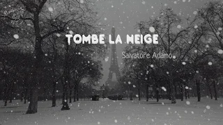 [Vietsub] Tombe la neige ║ Ngoài kia tuyết rơi - Salvatore Adamo (1963)