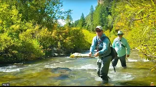 The Benefits of Trout Fishing for Your Mental Health | Idaho (70 Minute Documentary)