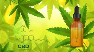 Что такое CBD и легализация медицинского каннабиса в Украине. Как это повлияет на вейпинг !?