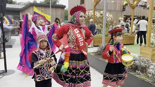 Huaylarsh Antiguo performed by Baila Peru, featuring Huaylarsh de Palmayo.