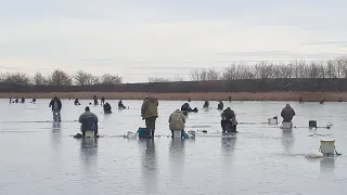 Свята На Носі, А Риби Треба. Зимова Риболовля З Друзями