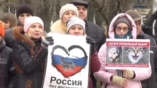 Белгородцев объединил митинг в защиту животных