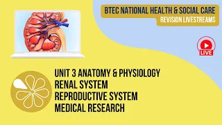 Renal & Reproductive Systems, Medical Research | Live Revision for HSC Unit 3 Anatomy & Physiology