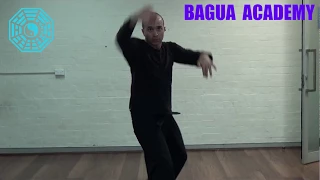 Bagua Throws & Applications - Sean Kavanagh