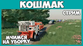 Собираем всю деревню на уборку поля // КОШМАК - стрим // Farming Simulator 19