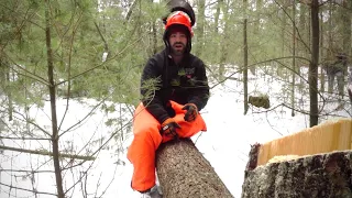 DANGEROUS- Rookie TREE Felling Mistake 🌲