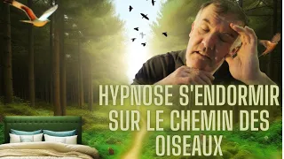 Hypnose Douce : Voyage au Pays des Oiseaux pour un Sommeil Profond