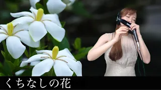 クロマチックハーモニカ 南里沙『くちなしの花』｜Chromatic Harmonica Risa Minami