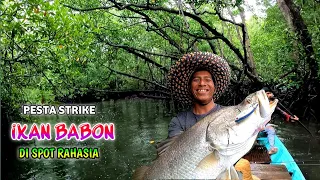 Pesta Strike Ikan Besar !!! Segampang Ini Mancing kakap putih besar & Ikan predator babon muara